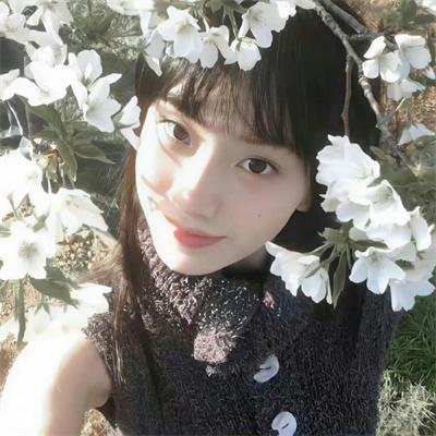 腌黄瓜先生第二季